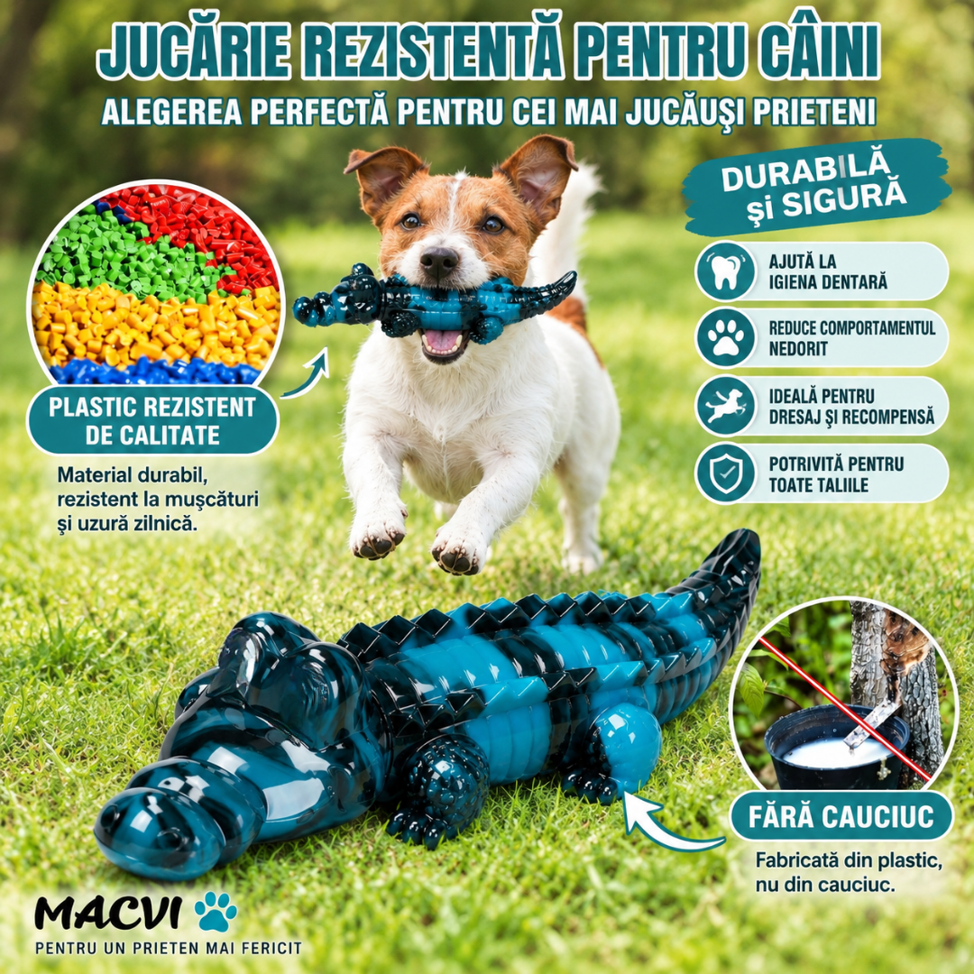 Jucarie dentitie pentru catei Macvi®, in forma de crocodil, material rezistent si sigur, verde, ideala pentru joaca si mestecat