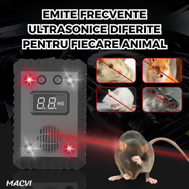 d8ed723b662bd22c32af382400857aae