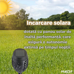 ce784bd0985569dacdbba089e59edd5a