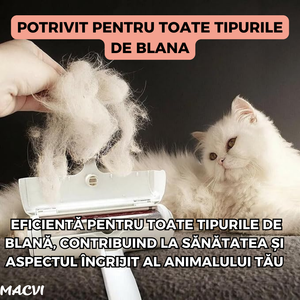 a04e58305ac32080a9240db752c924ec