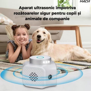 6e4f1a99639c5499f146279a0be882b9