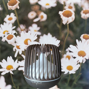 ae04270536231b9f641a610383a69393