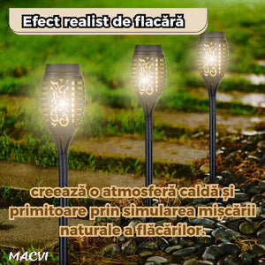 713b82f174900c7cecae6ffdfd5f259b