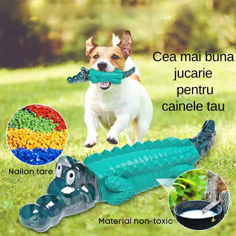 f31764ffddb227a1248a7f5c5b73aade