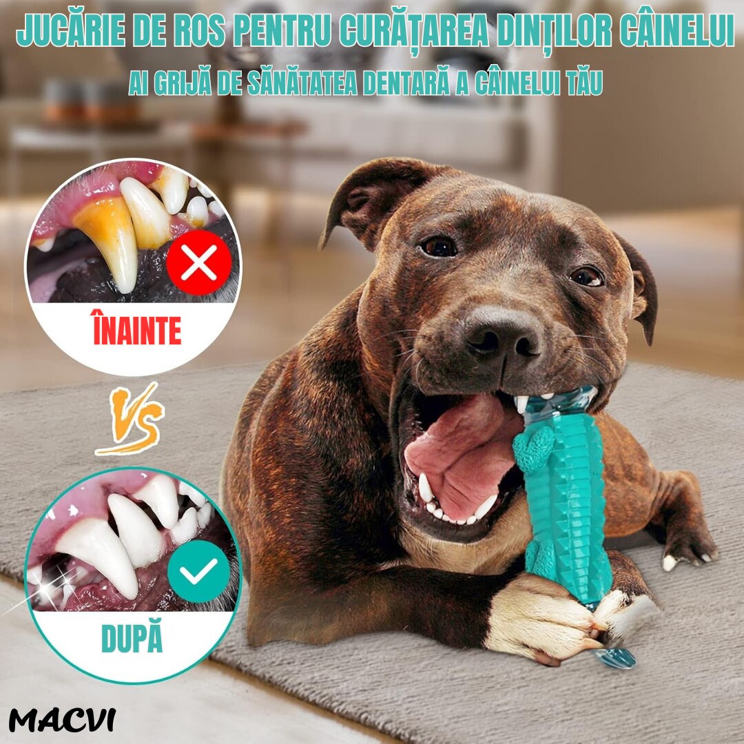 Jucarie dentitie pentru catei Macvi®, in forma de crocodil, material rezistent si sigur, verde, ideala pentru joaca si mestecat