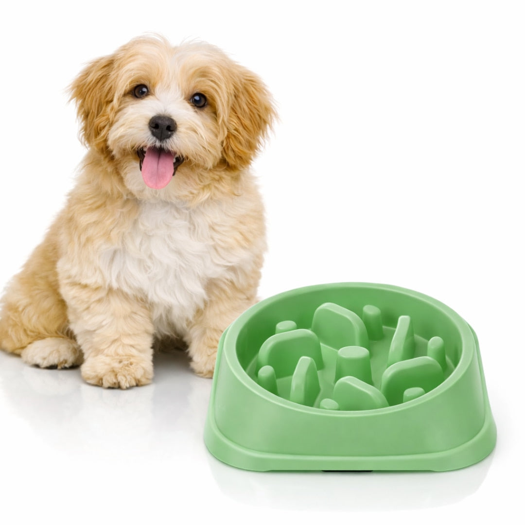 Alimentator Lent pentru Animale Macvi®, Bol Antiderapant Hranire Lenta pentru Caini si Pisici Design Interior AntiInghitire Material Sigur Usor de Curatat Rezistent, Verd
