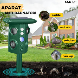 20fe920c824433420ea69fa13d8df86c