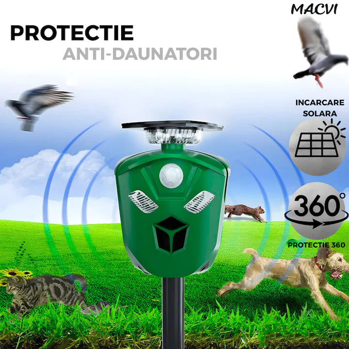 3a38998fc2f5fdf0bcd6fb383ab2d94e