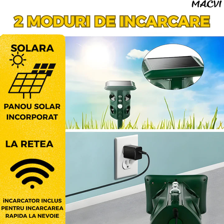 871250310d178abd50b65e07bc9369ad