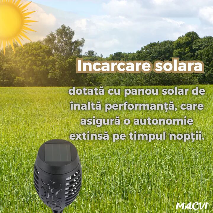ce784bd0985569dacdbba089e59edd5a