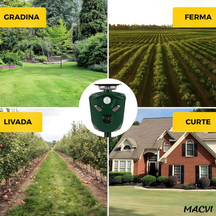 ee990b704d6352f29d16d3bf2e1b69e6