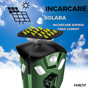 3a8675d39db85643699f59db1bf553c6