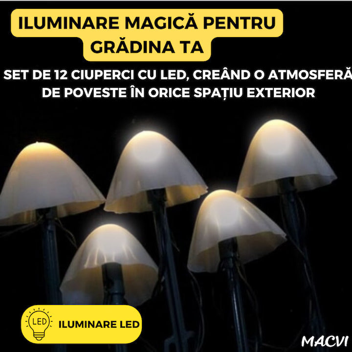29e5da8e2dc1331be2d7fb27053ada5a