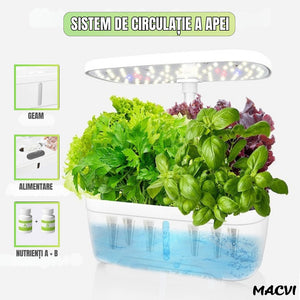 5e81232b7d13abd53360afb1835a99c3