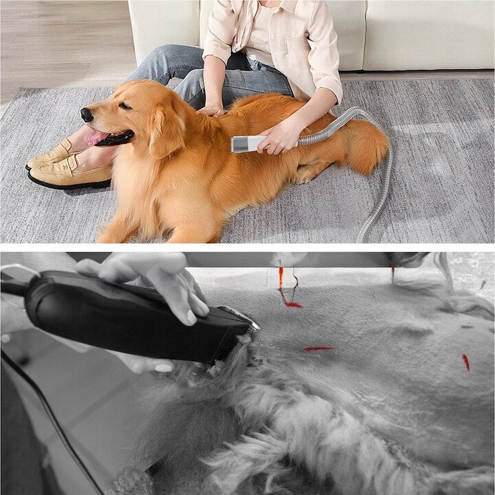 9d56ffcff838de3dc3ba1003b2dcbd18