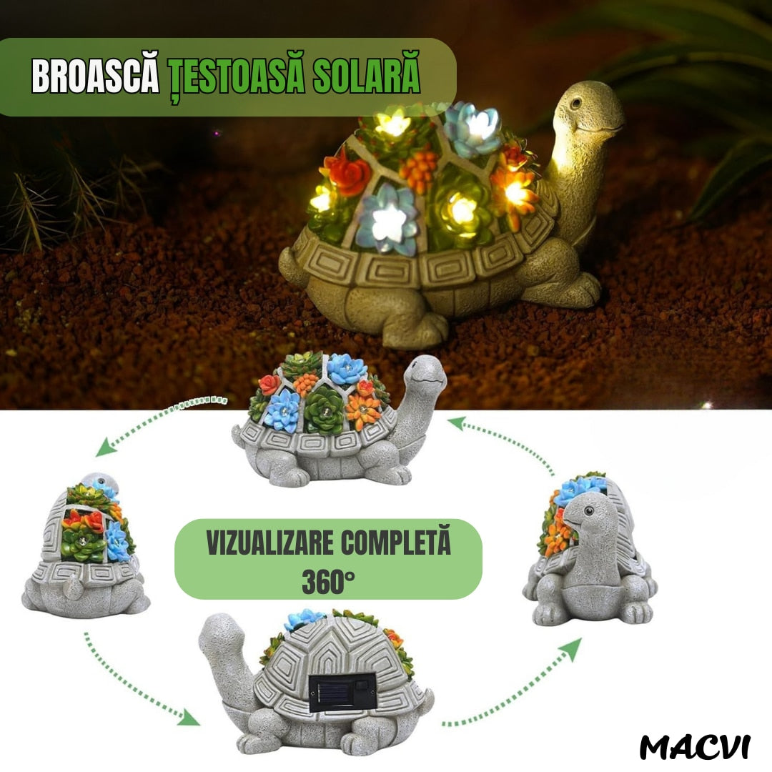 d13cda5522974df382a1f0897d65541a